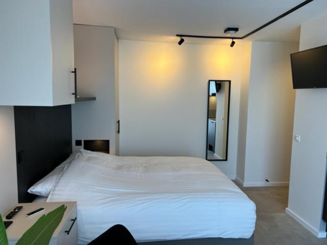 Casa Del Cisne 3 Aparthotel Zandvoort Kültér fotó